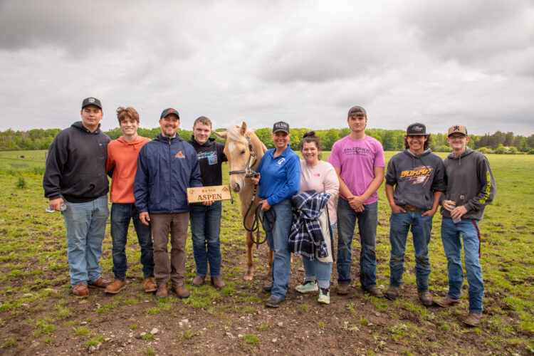‘Amazing’ outcomes: WNY P-TECH students support equine organization